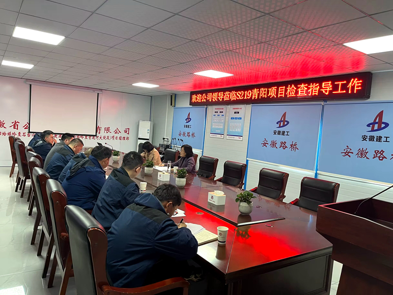 公司黨委委員、紀委書記王鵬到S219青陽改建項目調(diào)研指導工作